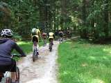 20090601_regental_010