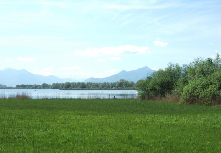 DSCF9198-2