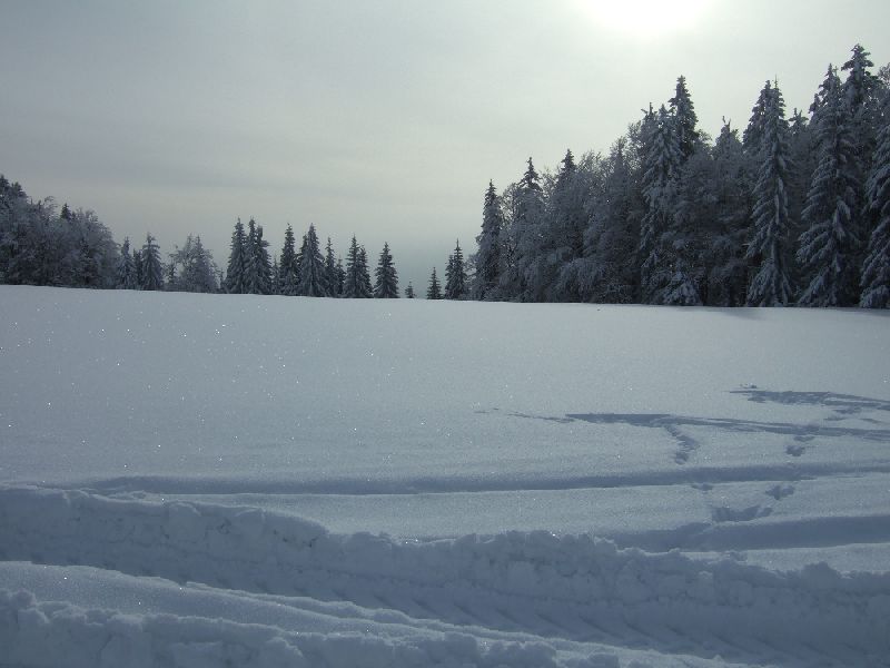 201001_schneeschuh_002