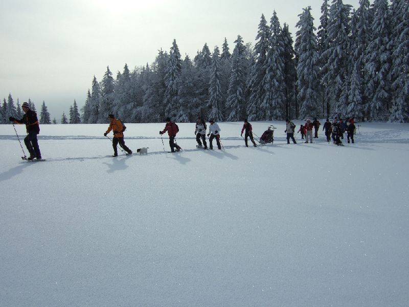 201001_schneeschuh_003