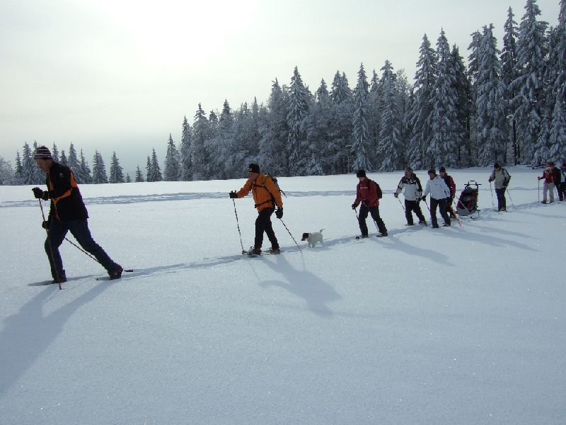 201001_schneeschuh_004