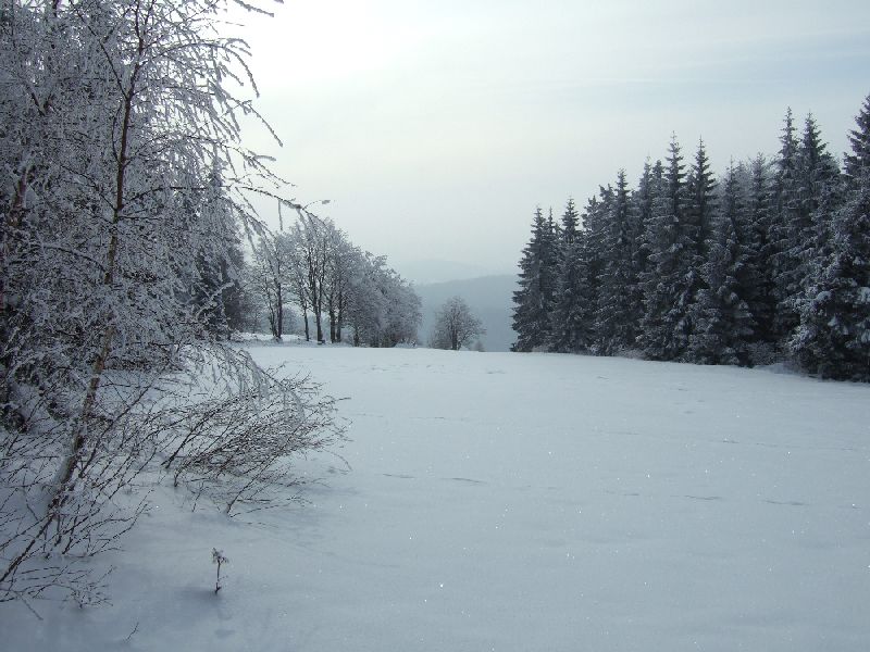 201001_schneeschuh_008