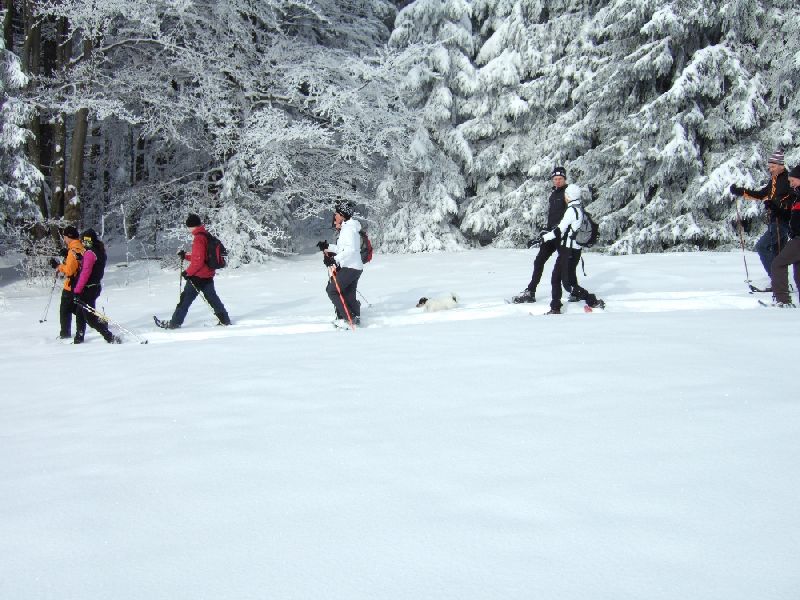 201001_schneeschuh_009