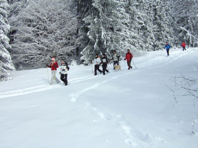 201001_schneeschuh_010