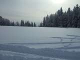 201001_schneeschuh_002