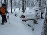 201001_schneeschuh_006