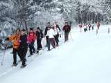 201001_schneeschuh_011